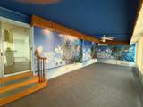 7089 Bluebird Circle - Photo 4