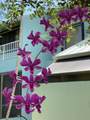 8902 Marina Bay Drive - Photo 83