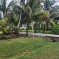 12668 70th Pl Street - Photo 6