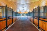 14943 Paddock Drive - Photo 4