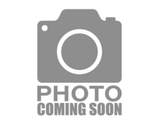 5323 27th Street - Photo 1