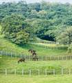 Las Lagartijas San Carlos, Cocle - Photo 30