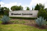 10754 Cremona Way - Photo 41