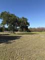 13827 Indian River Drive - Photo 15