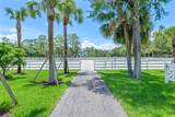 1464 Stallion Drive - Photo 46
