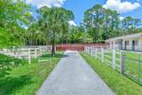 1464 Stallion Drive - Photo 48