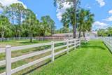 1464 Stallion Drive - Photo 82
