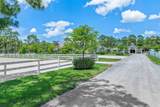 1464 Stallion Drive - Photo 86