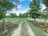 4002 Everhigh Acres Road - Photo 2