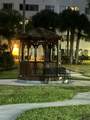 3138 Via Poinciana - Photo 15