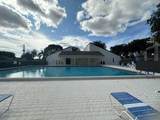 3138 Via Poinciana - Photo 18