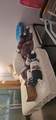 263 Suffolk G - Photo 7