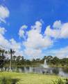 240 Osprey Preserve Boulevard - Photo 3
