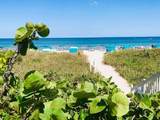 4201 Ocean Boulevard - Photo 71