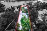 11091 Ellison Wilson Road - Photo 4