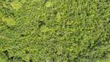 0000 Cummer Road - Photo 11