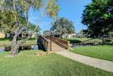 10523 Ladypalm - Photo 53