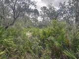 0 Old Stokes Road - Photo 6