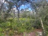 0 Old Stokes Road - Photo 7