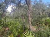 0 Old Stokes Road - Photo 8