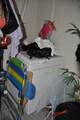 1906 87th Avenue - Photo 18