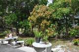 1906 87th Avenue - Photo 21