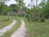 18496 Glades Cut Off Road - Photo 1