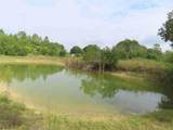 18496 Glades Cut Off Road - Photo 3