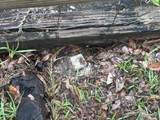 444 Quail Street - Photo 6