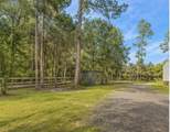 875 Cabbage Palm Street - Photo 13