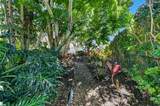 276 Swan Lane - Photo 62