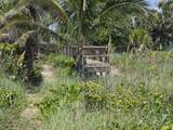 2805 Highway A1a - Photo 38