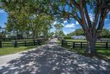 4491 Palm Breeze Trail - Photo 12