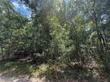 313 Calhoun Avenue - Photo 2