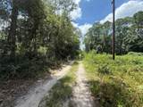 313 Calhoun Avenue - Photo 5