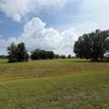 18410 260th Street - Photo 3