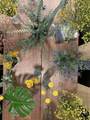 1053 29th Street - Photo 84