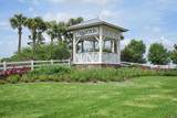 12241 Saltwater Drive - Photo 91