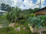 625 Coconut Avenue - Photo 39