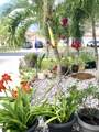 139 Preserve Drive - Photo 47