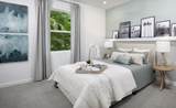 10856 Orana Drive - Photo 9