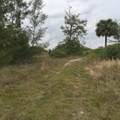 20636 Louise Street - Photo 4