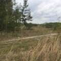 20636 Louise Street - Photo 5