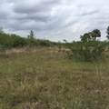20636 Louise Street - Photo 6