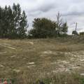 20636 Louise Street - Photo 8