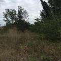 20636 Louise Street - Photo 9