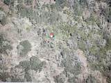 000 Paradise Heights Road - Photo 2
