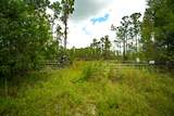 12460 79TH Street - Photo 12