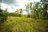 12460 79TH Street - Photo 21
