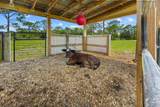 9999 120TH Street - Photo 64
